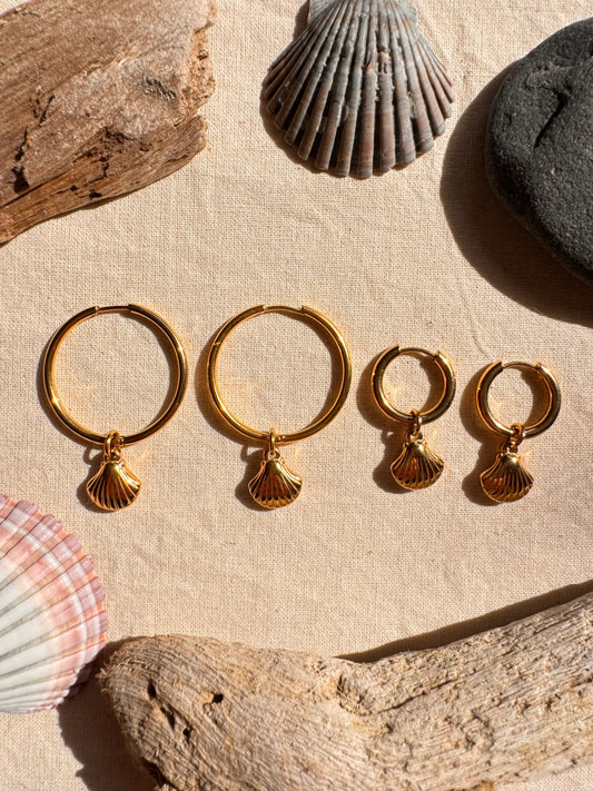 Sea Shell Hoop Earrings