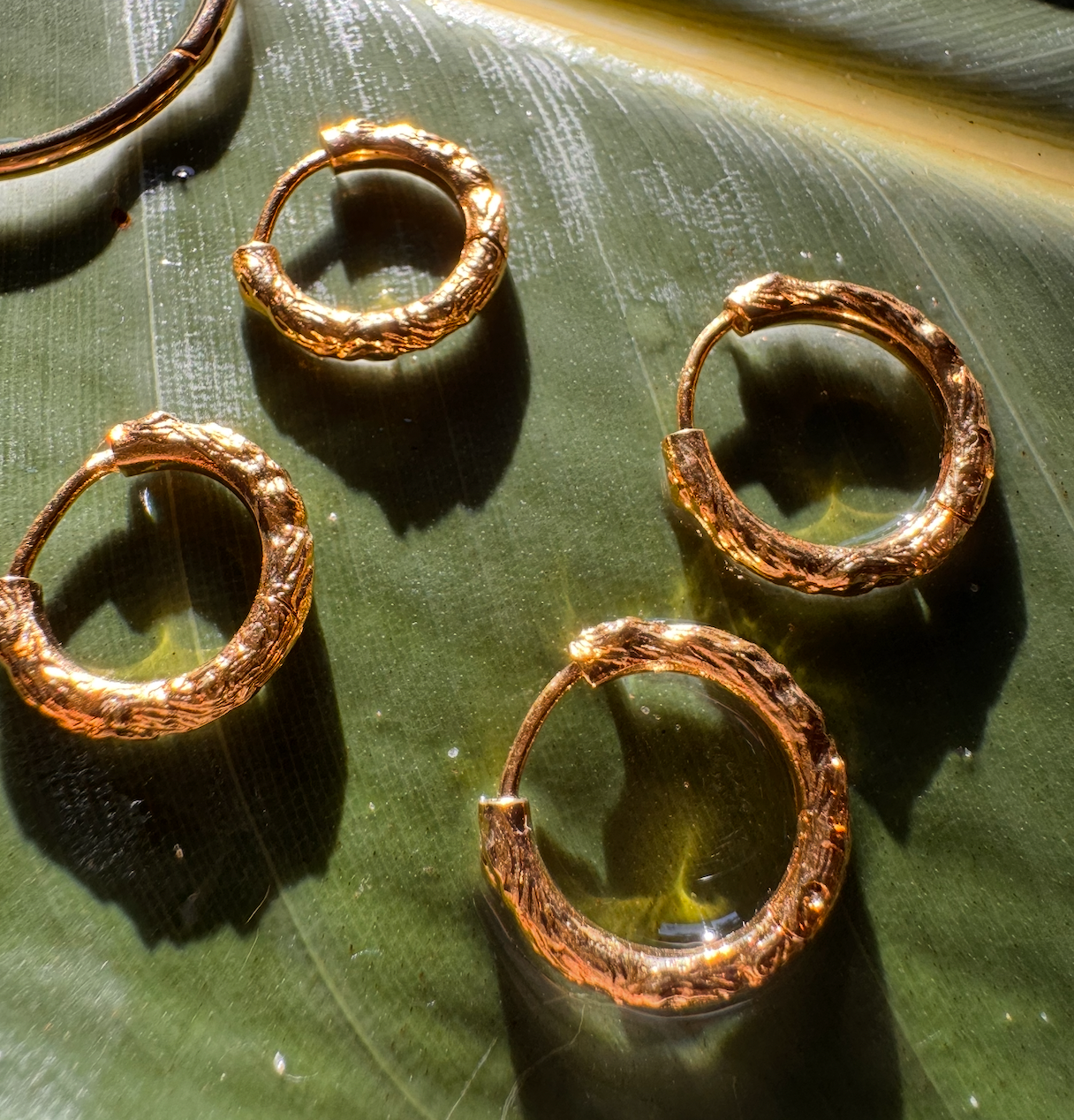 Driftwood Hoop - Circle of Life