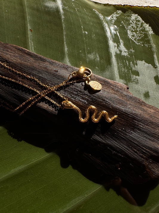 Yoni Snake Neckles