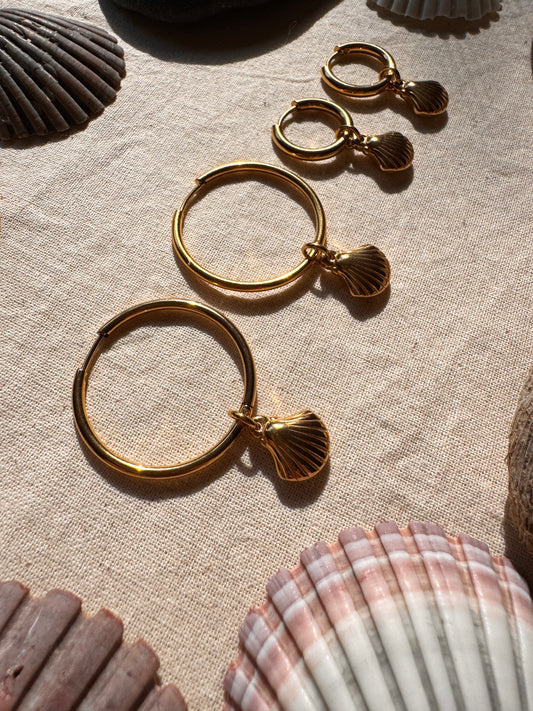 Sea Shell Hoop Earrings