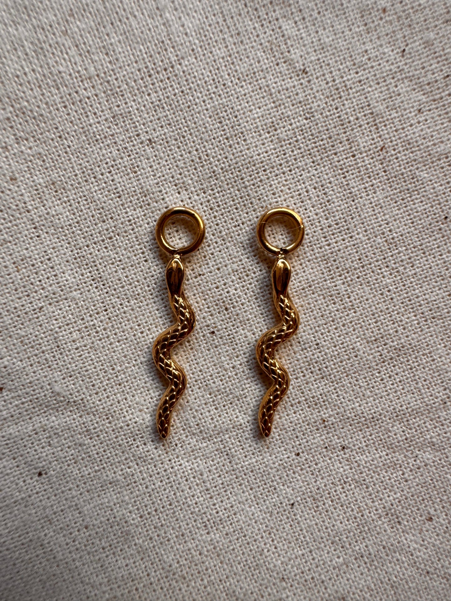 Tiny Snake Hoop Earrings