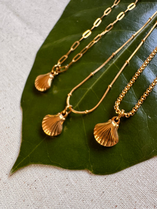Sea Shell Necklace