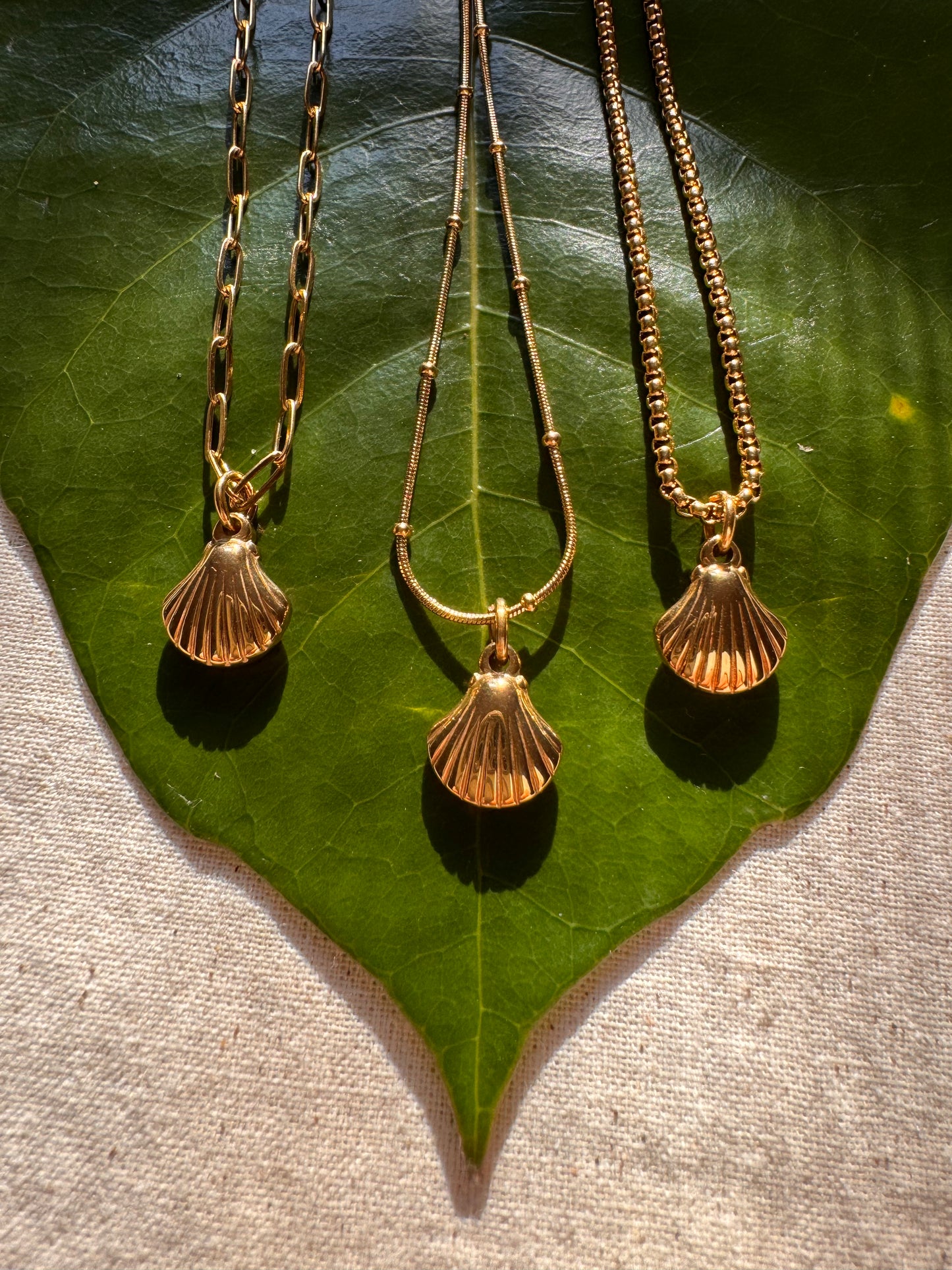 Sea Shell Necklace
